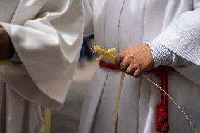 Palm Sunday In Barcelona.