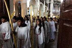 Palm Sunday In Barcelona.