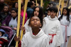 Palm Sunday In Barcelona.