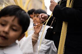 Palm Sunday In Barcelona.