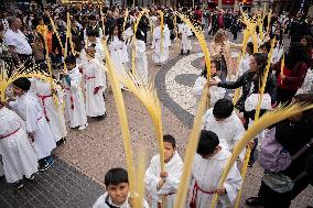 Palm Sunday In Barcelona.