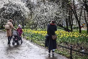 Spring In Poland