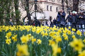Spring In Poland