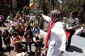 Catholic Devotees Bless Their Palm Branches During The Palm Sunday