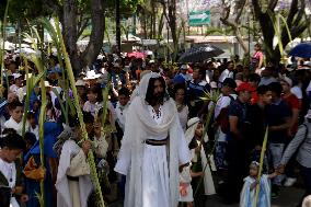 Palm Sunday Procession In Mexico City