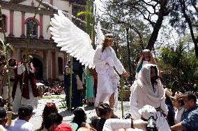 Palm Sunday Procession In Mexico City