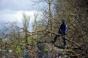 After 37 Days In The Trees To Block The Cut Of Trees For The A69 Highway, 'Ecureuils Climb Down
