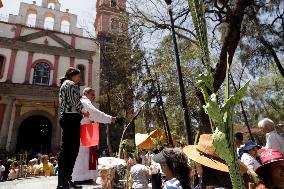 Palm Sunday - Mexico City