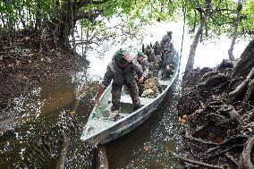 River Checkpoint At Saut Tourepe On The Approuague River - French Guiana