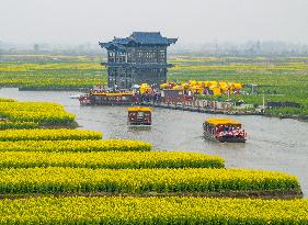 Tourists Take boats ride to See The Blooming Rapeseed Flowers in Xinghua