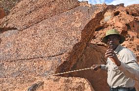NAMIBIA-KUNENE-WORLD HERITAGE-TWYFELFONTEIN ROCK ENGRAVINGS
