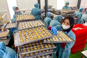 Production Of Cookies For Eid Al-Fitr 1445 Hijriah In Indonesia