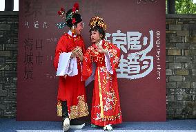 (HainanOutlook)CHINA-HAINAN-BOAO FORUM FOR ASIA-INTANGIBLE CULTURAL HERITAGE (CN)