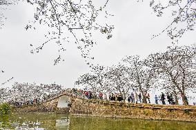 Tourists Enjoy Cherry Blossoms at Yuantouzhu Scenic Area in Wuxi
