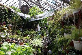 Botanical garden affected by Russian shelling in Odesa