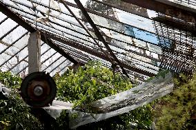 Botanical garden affected by Russian shelling in Odesa