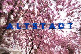 Cherry Blossom Season Starts In Bonn