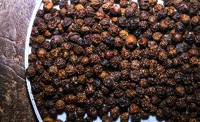 Black Pepper, The World's Most Traded Spice