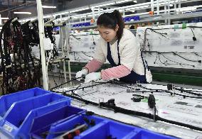 Automobile Parts Production in Fuyang