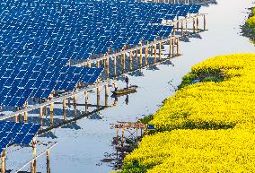 Photovoltaic Power Plant in Taizhou