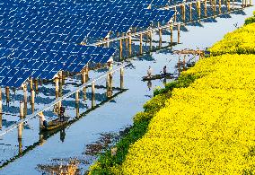 Photovoltaic Power Plant in Taizhou