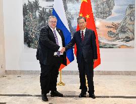 CHINA-HAINAN-BOAO-ZHAO LEJI-RUSSIA-DEPUTY PM-MEETING (CN)