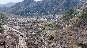 CHINA-BEIJING-SPRING-BLOOMING FLOWERS-TRAIN (CN)