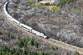 CHINA-BEIJING-SPRING-BLOOMING FLOWERS-TRAIN (CN)