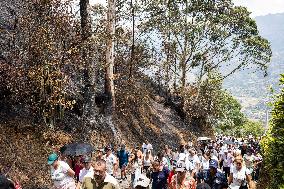 Holy Week in Colombia