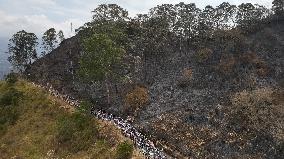 Holy Week in Colombia