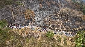 Holy Week in Colombia