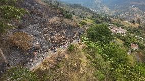 Holy Week in Colombia