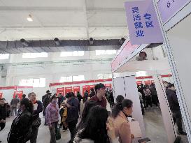 2024 Beijing Large Scale Job Fair