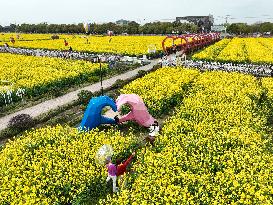 (ZhejiangPictorial)CHINA-ZHEJIANG-SPRING SCENERY (CN)