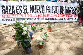 Demonstration in solidarity with Palestine - Madrid