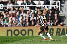 Newcastle United v West Ham United - Premier League