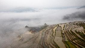 Kampung Rice Terraces in Congjiang