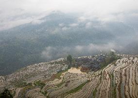 Kampung Rice Terraces in Congjiang