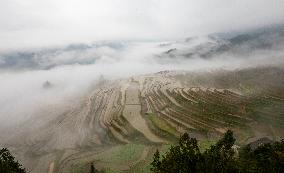 Kampung Rice Terraces in Congjiang