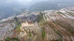 Kampung Rice Terraces in Congjiang