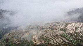 Kampung Rice Terraces in Congjiang