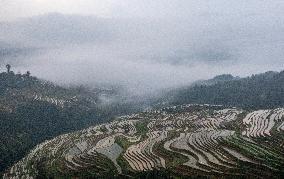 Kampung Rice Terraces in Congjiang