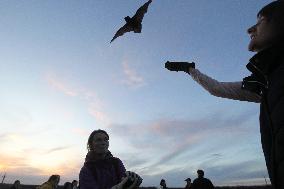 Nearly 1000 bats released in Dnipro suburbs