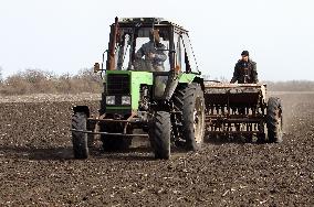 Sowing season in Dnipropetrovsk region