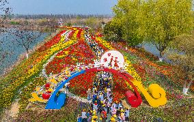 Blooming Flowers at Hongze Lake Wetland Scenic Spot in Suqian