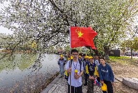 Blooming Flowers at Hongze Lake Wetland Scenic Spot in Suqian