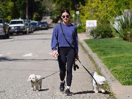 Lucy Hale Out Walking Her Dogs - LA