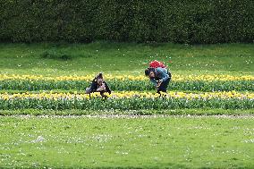 BELGIUM-BRUSSELS-FLOWERS