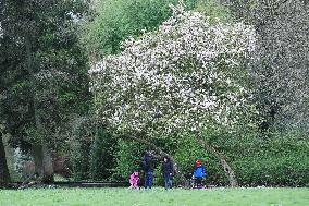 BELGIUM-BRUSSELS-FLOWERS