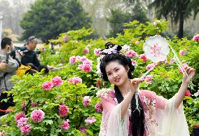 CHINA-HENAN-LUOYANG-PEONY (CN)